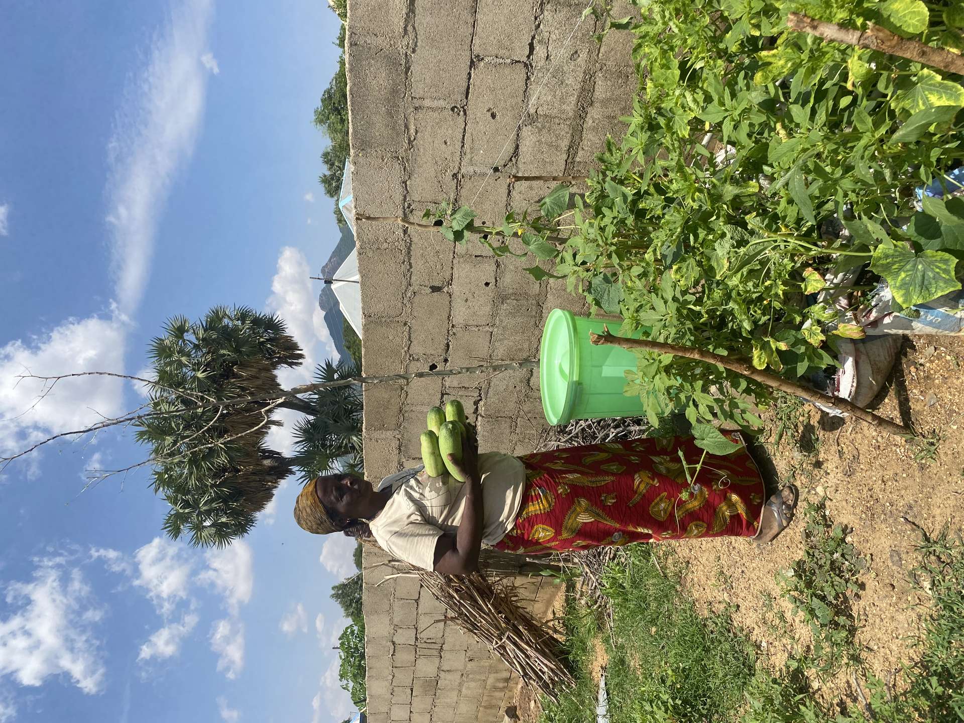 Community fieldwork