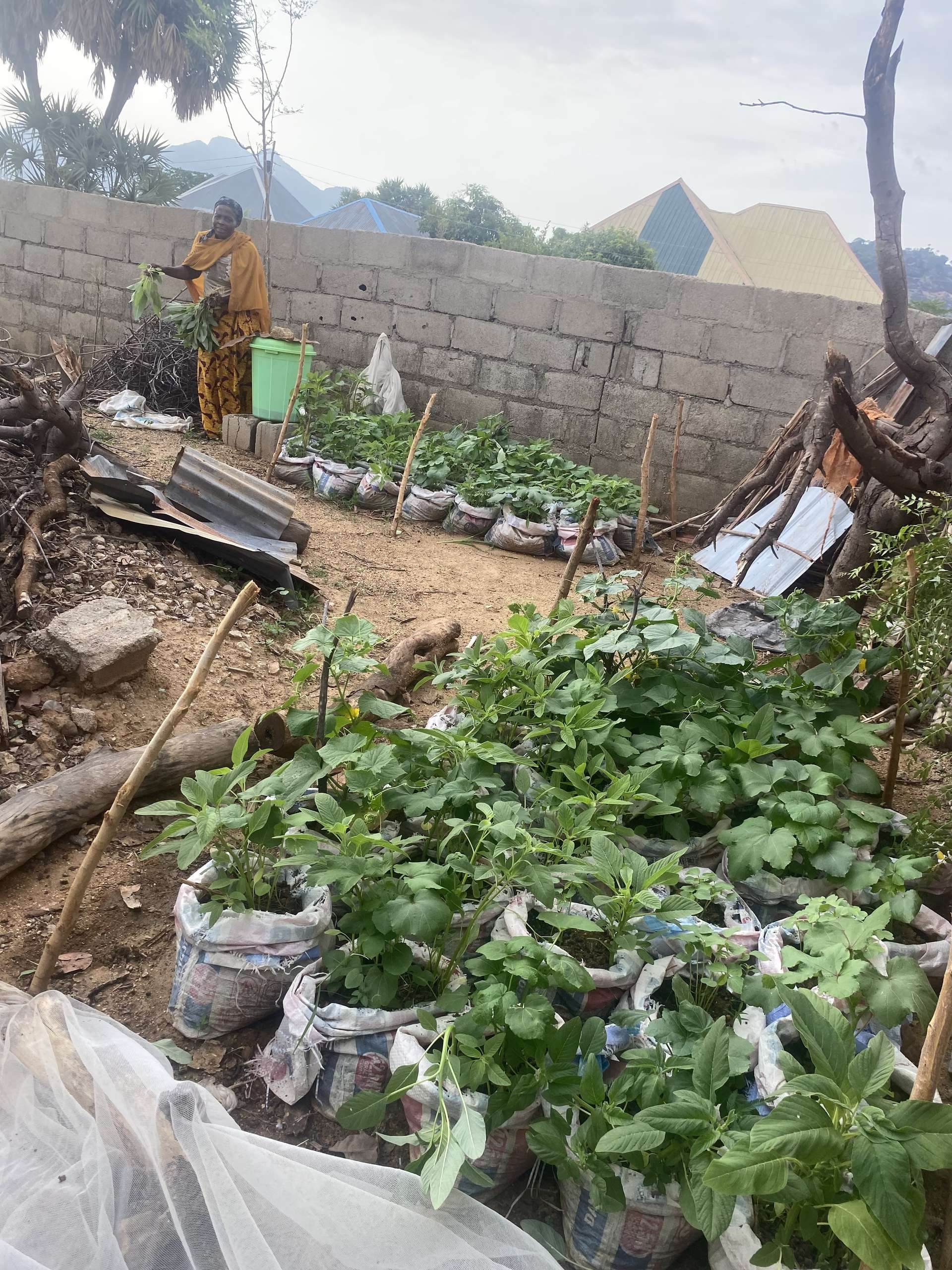 Home Grown — Food Project, Bauchi
